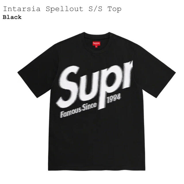 Tシャツ/カットソー(半袖/袖なし)Intarsia Spellout S/S Top. L