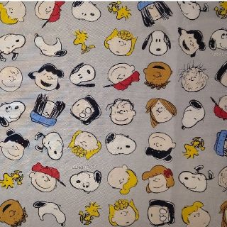 ピーナッツ(PEANUTS)のSNOOPY ナイロン生地(生地/糸)