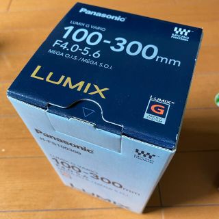 パナソニック(Panasonic)のpanasnoic H-FS100300(レンズ(ズーム))