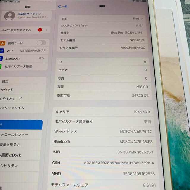 iPadPro 10.5 wi-fi+cellular 256GB SIMフリー