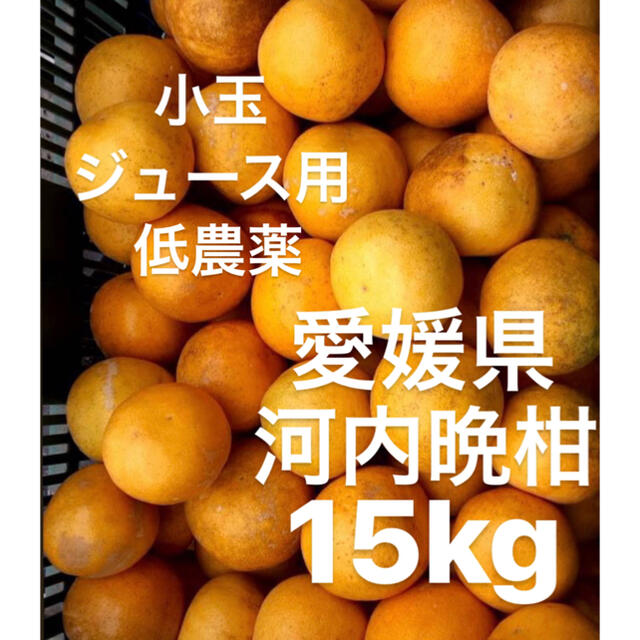 ・愛媛県　低農薬　宇和ゴールド　河内晩柑　ジュース用　15kg 食品/飲料/酒の食品(フルーツ)の商品写真