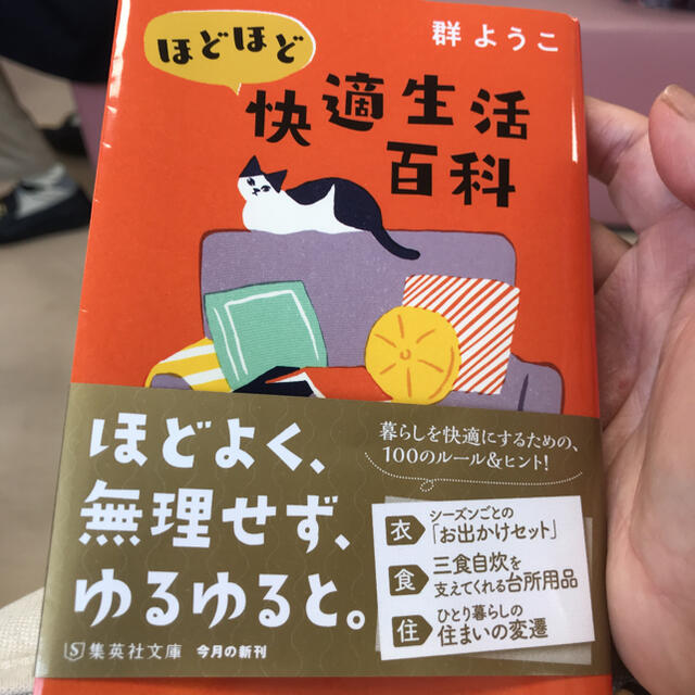 ほどほど快適日記　群ようこ エンタメ/ホビーの本(文学/小説)の商品写真