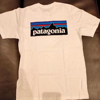 パタゴニア(patagonia)の美品　パタゴニア　定番白Tシャツ　M(Tシャツ/カットソー(半袖/袖なし))