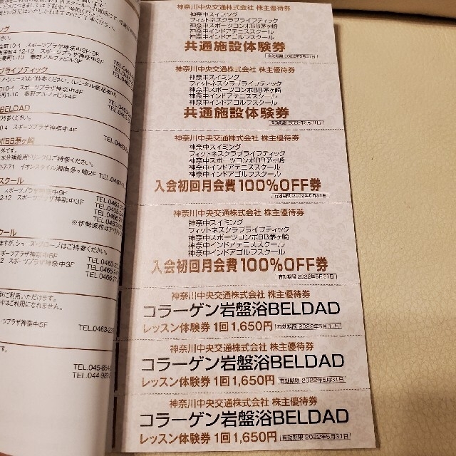 最新 神奈川中央交通 株主優待券 冊子(一冊) チケットの優待券/割引券(その他)の商品写真