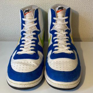 ナイキ(NIKE)のNIKE TERMINATOR HI  28.0cm(スニーカー)