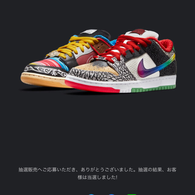 NIKE - Nike SB dunk low What the P-ROD 27.0cm