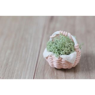 ミニチュア　カゴ　植物　ドールハウス(ミニチュア)