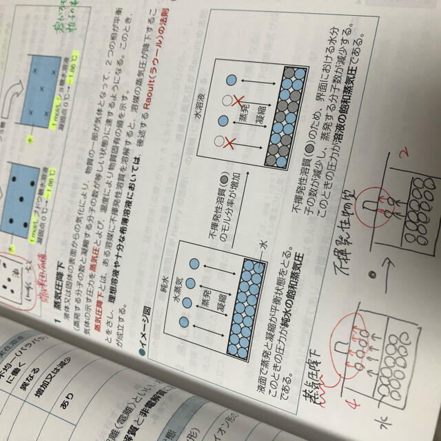 青本 青問 2021 薬学ゼミナール エンタメ/ホビーの本(健康/医学)の商品写真