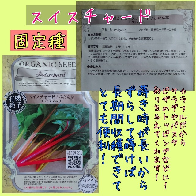 スイスチャード colorful MIX 固定種 野菜の種 種子 種 家庭菜園向 食品/飲料/酒の食品(野菜)の商品写真