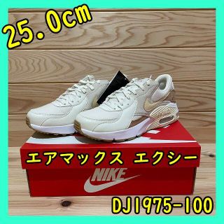 ナイキ(NIKE)のNIKE ナイキ エアマックス エクシー DJ1975-100 25.0cm(スニーカー)