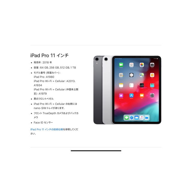 2022A/W新作☆送料無料】 Apple - iPadPro 11インチWi-Fi 256GB