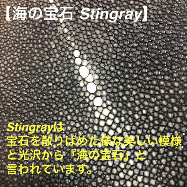 【新品】スティングレイ Stingray ボディバッグ リュック エイ革 本革