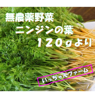 アボカド抹茶様専用　ニンジンの葉（間引きニンジン）　１ｋｇより(野菜)