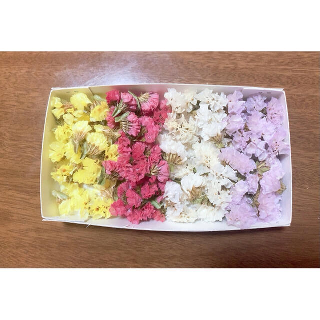 maku様専用 送料込800円 スターチス花のみ ハンドメイドのフラワー/ガーデン(ドライフラワー)の商品写真