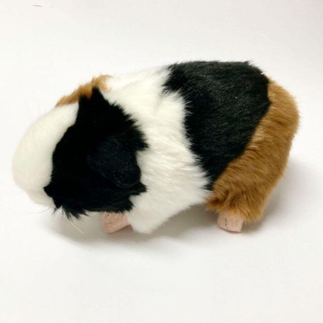 新品 セール かわいい モルモット ぬいぐるみ モルモット 黒 Fxsn3rdsoq ぬいぐるみ Contrologypf Com