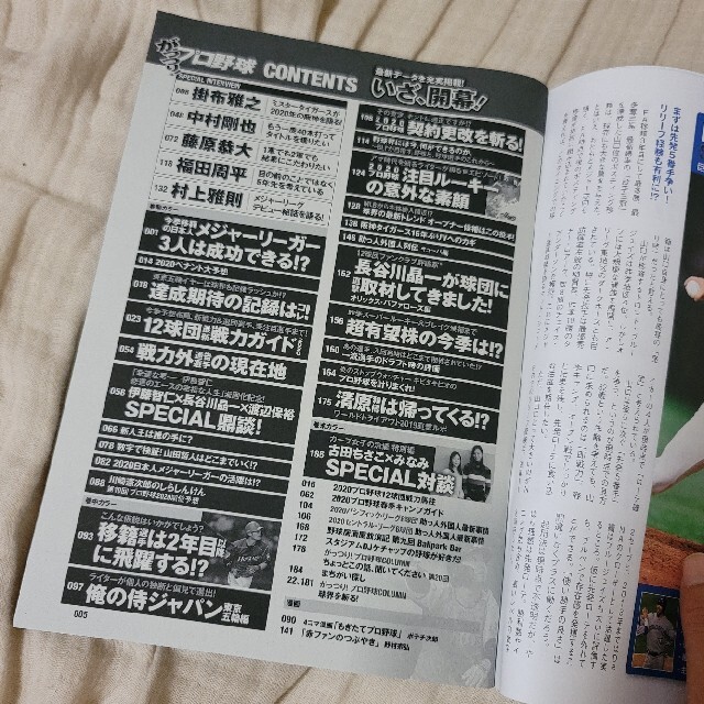 週刊漫画ゴラク増刊 がっつり！ プロ野球 エンタメ/ホビーの雑誌(趣味/スポーツ)の商品写真