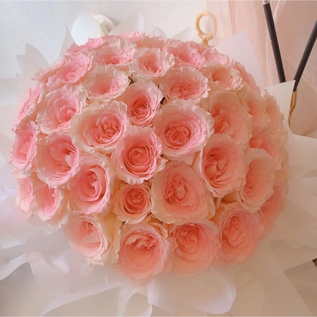 28%割引 【日本未発売】 POLA - みーたん様 専用ページ 5%OFF 美容液
