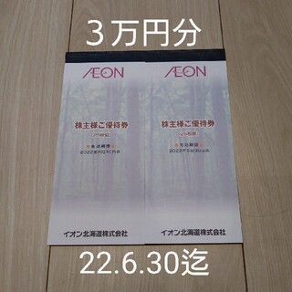 イオン(AEON)のイオン北海道　株主優待券３万円分(ショッピング)