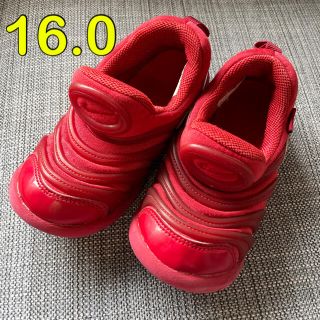 ナイキ(NIKE)の【専用】NIKE ダイナモフリー スニーカー 16.0(スニーカー)