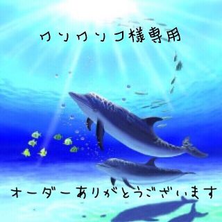 ワンワンコ様専用🐬　ハワイアンリボンレイ　キーホルダー(キーホルダー/ストラップ)