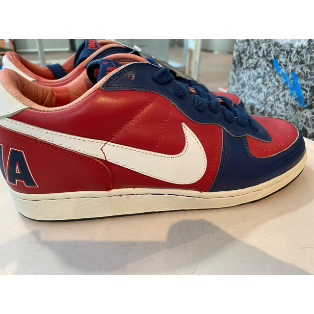 NIKE(ナイキ)の2004 NIKE ZOOM TERMINATOR LOW ARIZONA メンズの靴/シューズ(スニーカー)の商品写真