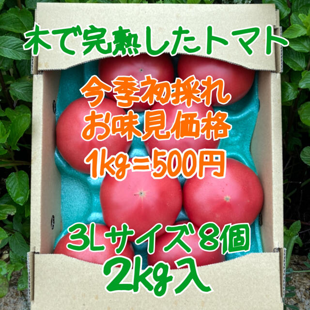 木成り完熟八風とまと3Lサイズ8個入　2kg 食品/飲料/酒の食品(野菜)の商品写真