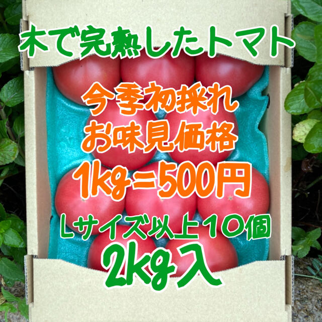 木成り完熟八風とまと3Lサイズ8個入　2kg 食品/飲料/酒の食品(野菜)の商品写真