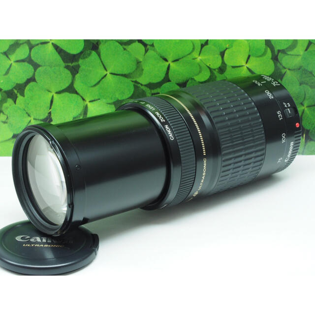 【美品】キャノンEF75-300mm超望遠ズーム⭐️スポーツ、イベントで大活躍