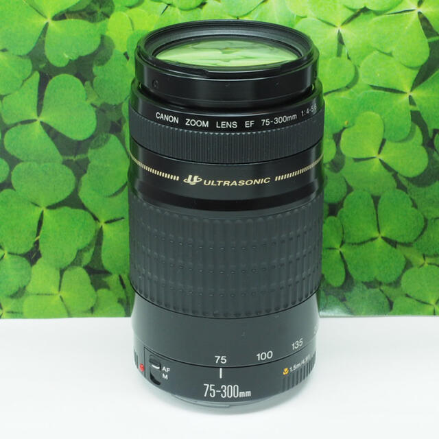 【美品】キャノンEF75-300mm超望遠ズーム⭐️スポーツ、イベントで大活躍