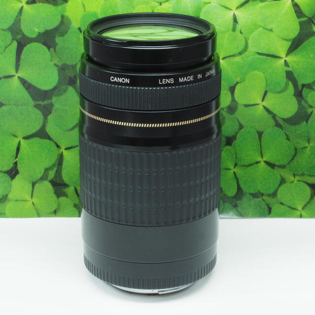 【美品】キャノンEF75-300mm超望遠ズーム⭐️スポーツ、イベントで大活躍