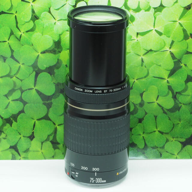 【美品】キャノンEF75-300mm超望遠ズーム⭐️スポーツ、イベントで大活躍