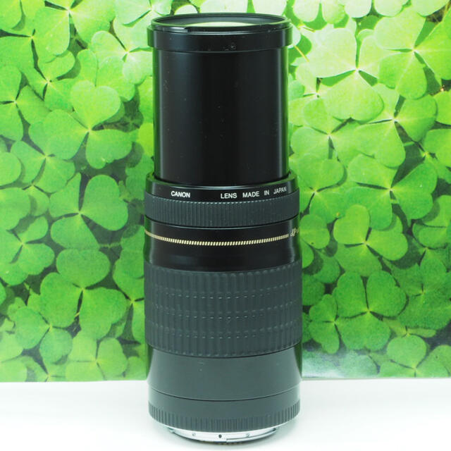 【美品】キャノンEF75-300mm超望遠ズーム⭐️スポーツ、イベントで大活躍