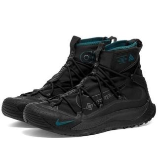 ナイキ(NIKE)のNIKE ACG AIR TERRA ANTARKTIK ナイキ エーシージー(スニーカー)