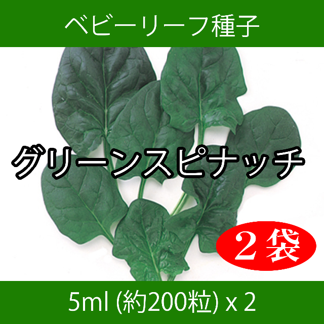 ベビーリーフ種子 B-39 グリーンスピナッチ 5ml 約200粒 x 2袋 食品/飲料/酒の食品(野菜)の商品写真