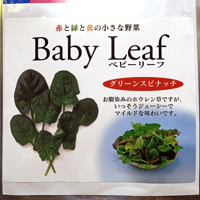 ベビーリーフ種子 B-39 グリーンスピナッチ 5ml 約200粒 x 2袋 食品/飲料/酒の食品(野菜)の商品写真