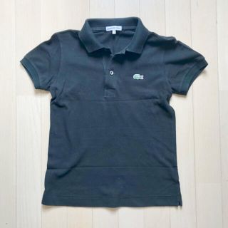 ラコステ(LACOSTE)のLACOSTE 鹿子 ポロ サイズ 38(ポロシャツ)