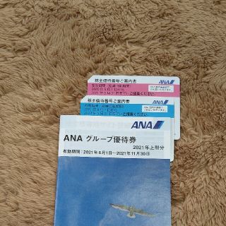 ANA 株主優待券　グループ優待券(その他)