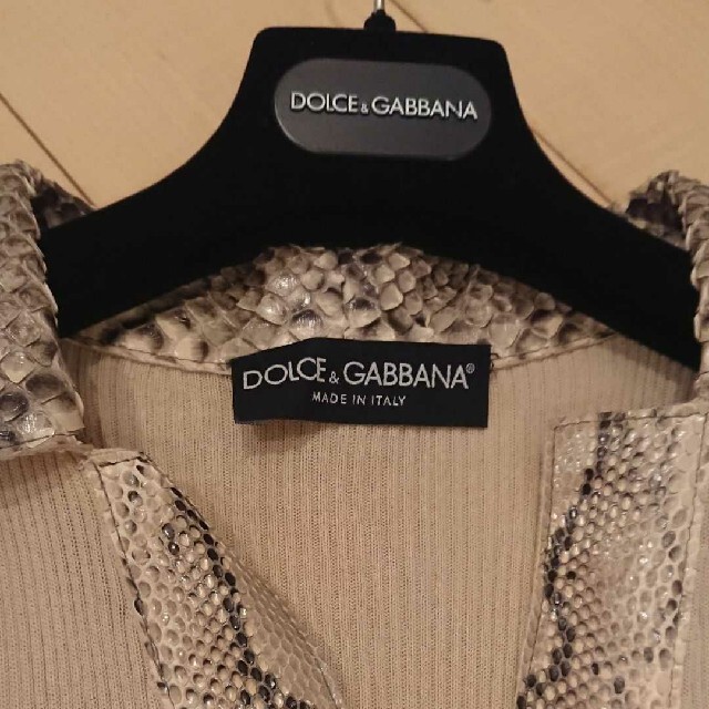 DOLCE&GABBANA☆パイソントップス