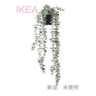 イケア(IKEA)のＩＫＥＡ【新品】 FEJKA 人工観葉植物/つり下げ型58 cm ユーカリ(置物)