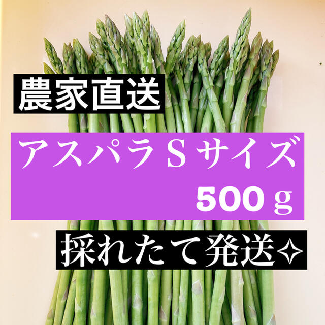 アスパラ Sサイズ 即購入OKです 食品/飲料/酒の食品(野菜)の商品写真