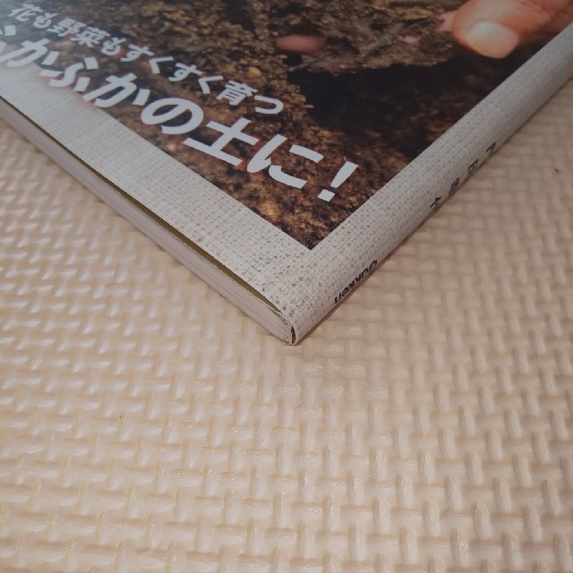 新カドタ式家庭の生ごみで簡単土づくり エンタメ/ホビーの本(趣味/スポーツ/実用)の商品写真