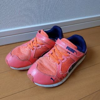 プーマ(PUMA)のスニーカー PUMA サイズ19.0(スニーカー)