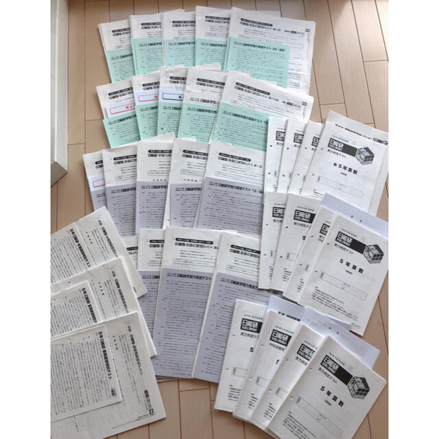なっち☆様専用日能研5年(1年分) 育成テストと全国公開模試 なっち☆様専用日能研5年(1年分) 育成テストと全国公開模試