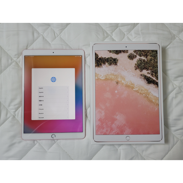 美品】iPad Pro 10.5インチ WiFi+Cellular 256GB - www.sorbillomenu.com