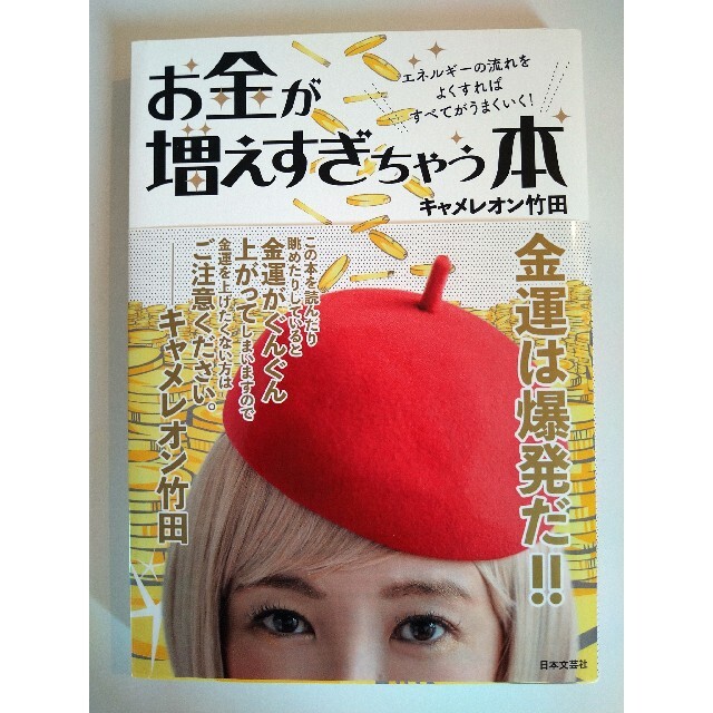 お金が増えすぎちゃう本 エネルギーの流れをよくすればすべてがうまくいく！ エンタメ/ホビーの本(住まい/暮らし/子育て)の商品写真