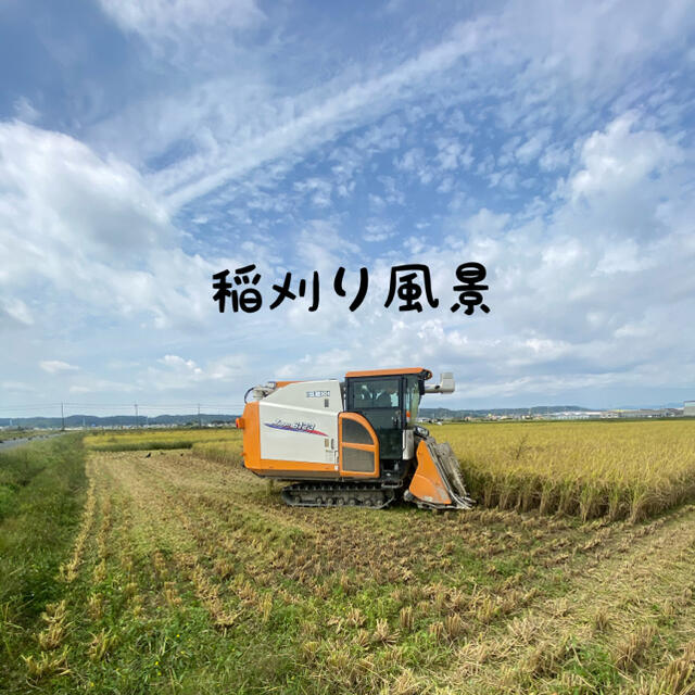 特別栽培米 玄米10kg 減農薬 有機肥料 R2年 プレミアムコシヒカリ 5