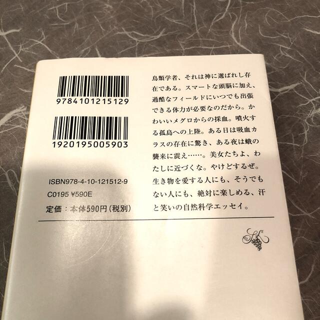 小学館(ショウガクカン)の鳥類学者だからって、鳥が好きだと思うなよ。 エンタメ/ホビーの本(文学/小説)の商品写真