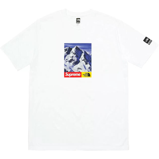 17FWSupreme THE NORTH FACE Mountain Tシャツ