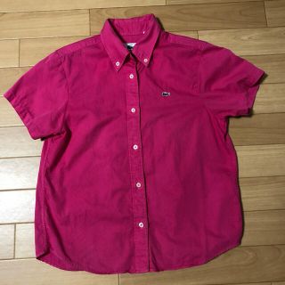 ラコステ(LACOSTE)の♪ 美品 ラコステ シャツブラウス ピンクMサイズ♪(シャツ/ブラウス(半袖/袖なし))