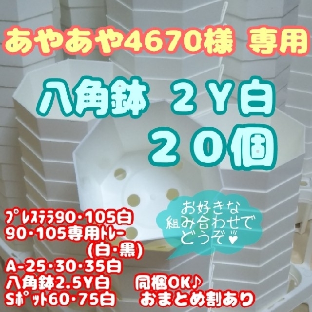 プラ八角鉢 カネヤ【2Y】20個 多肉植物 プレステラ ハンドメイドのフラワー/ガーデン(プランター)の商品写真